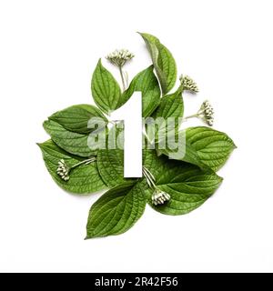 Paper number one on background of green leaves. Minimal creative Layout with natural elements for your design Stock Photo