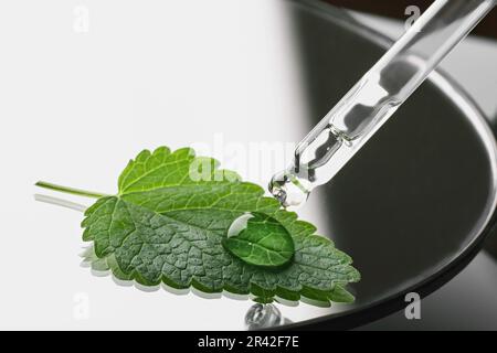 Pipette with gel cosmetic drop and green leaf in petri dish on black White background, hard shadows Stock Photo