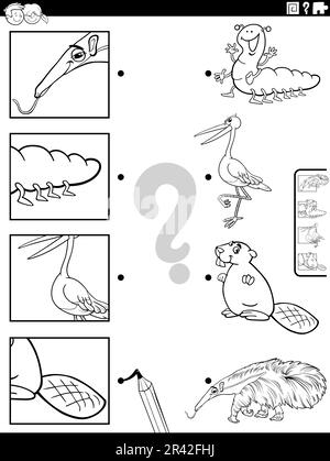 Match cartoon animals and clippings game coloring page Stock Photo - Alamy