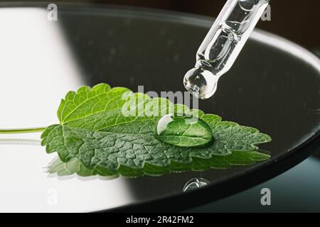 Pipette with gel cosmetic drop and green leaf in petri dish on black White background, hard shadows Stock Photo