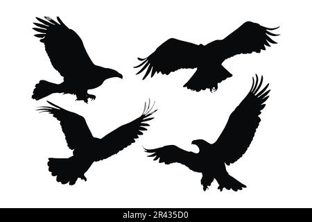 Big bird in different positions silhouette bundle design. Wild eagle flying silhouette set vector. Wild eagle vector design on a white background. Eag Stock Vector