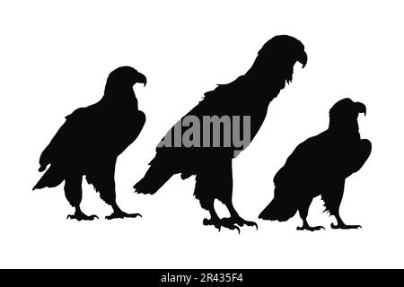 Wild eagle vector design on a white background. Falcon sitting silhouette bundle design. Eagle sitting silhouette set vector. Hawk sitting in differen Stock Vector