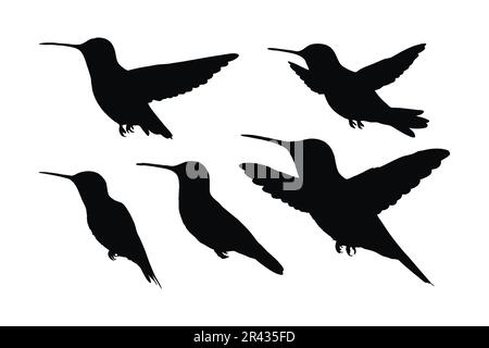 Hummingbird flying in different positions, silhouette set vector. Small hummingbird silhouette collection on a white background. Beautiful birds and f Stock Vector