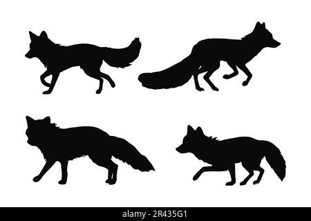 Foxes walking different positions, silhouette set vector. Adult fox silhouette collection on a white background. Carnivore animals like foxes, jackals Stock Vector