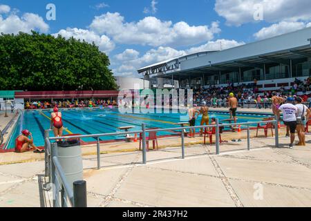 Pup swimming sale pool