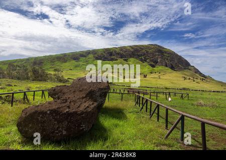 Fallen Moai Sculpture Lying on the Ground in Grass Field below Rano Raraku, famous Archaeological Site, Rapa Nui Easter Island, Chile Stock Photo