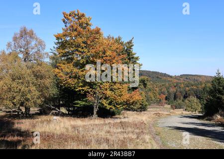 Herbstimpressionen aus Willingen im Sauerland Stock Photo