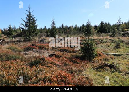 Herbstimpressionen aus Willingen im Sauerland Stock Photo