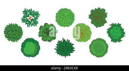 various detailed colorful cartoon trees set collection vector image isolated on white background Stock Vector
