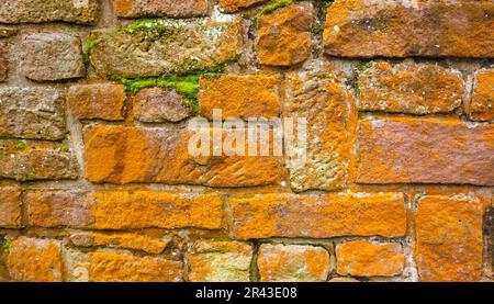 Colorful sandstone wall partly overgrown with green moss and orange lichen Stock Photo