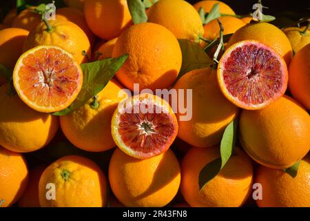 Italy, Italia, Sicily, Blood oranges Stock Photo
