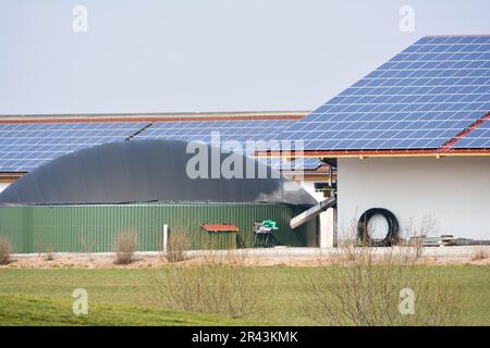 Renewable energy with photovoltaic and a biogas production facility Stock Photo
