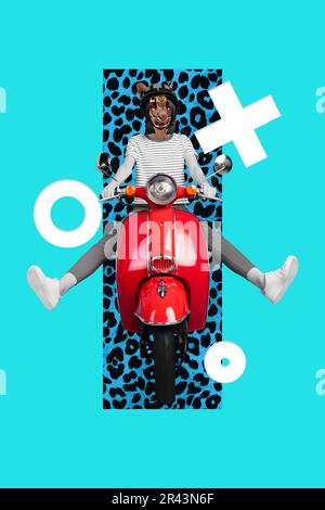 Vertical collage picture of excited person lynx head drive scooter isolated on painted teal background Stock Photo