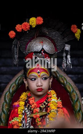 Living Goddess 'Kumari' of Lalitpur takes part in an annual Bhoto Jatra festival during the last day of the “God of Rain” Rato Machhindranath Jatra at Stock Photo