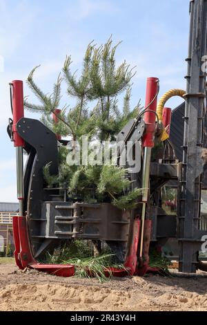 Tree transplanter heavy machine. machine for transplanting large trees ...
