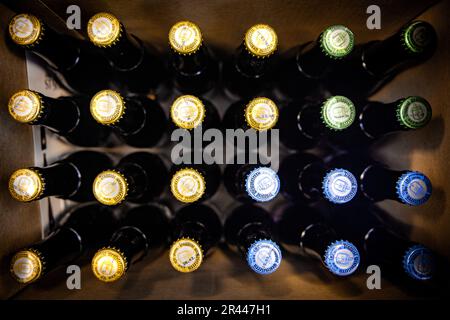 Amsterdam, The Netherlands. May 26, 2023.  The Trappist beer Westvleteren is for sale at a Dutch liquor store. The monks of the Sint-Sixtus abbey in Westvleteren in Flanders brew 7500 hectoliters of beer annually, spread over about fifty days. Until now, Westvleteren was only available at the abbey itself, and only for private individuals. ANP RAMON VAN FLYMEN netherlands out - belgium out/Alamy Live News Stock Photo