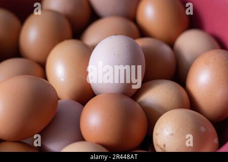 pile of raw eggs with a focus on eggs of different colors Stock Photo