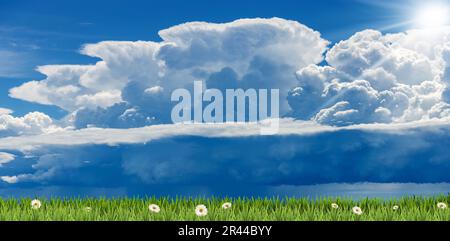Beautiful cumulus clouds (cumulonimbus) on blue sky with torrential rain and sunbeams over a green meadow with daisies flower. Stock Photo