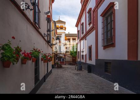 Juderia Street - Seville, Andalusia, Spain Stock Photo