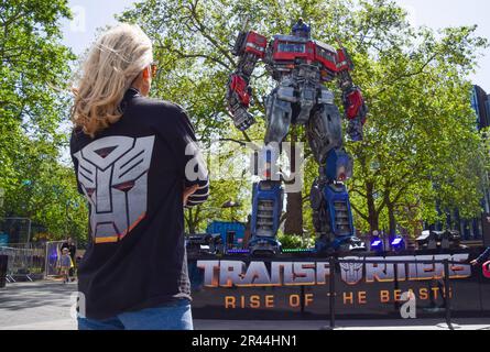 london uk 26th may 2023 a member of the promotions team stands next to the statue of optimus prime huge transformers have been installed in leicester square ahead of the premiere of the next film in the series transformers rise of the beasts credit vuk valcicalamy live news 2r44hn1