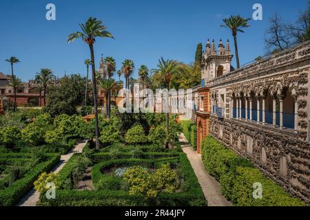 Garden of the Alcove (Jardin de la Alcoba), Ladies Garden (Jardin de las damas) and Gallery of Grotesques at Alcazar - Seville, Spain Stock Photo