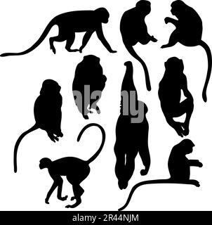 Collection silhouettes monkey. Vector illustration. Isolated primates on white background Stock Vector