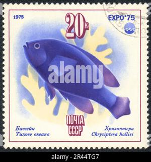 A stamp printed in USSR  shows Pacific Ocean fish Chrysiptera hollisi, from series 'EXPO 75', circa 1975 Stock Photo