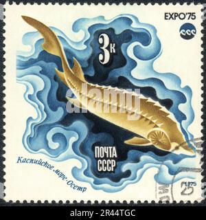 A stamp printed in USSR shows fish Caspian sturgeon, from series 'EXPO 75', circa 1975 Stock Photo