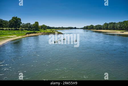 Mauges-sur-Loire, formerly Saint-Florent-le-Vieil (north-western France): canoeing on the River Loire Stock Photo