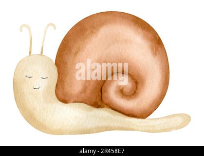 Watercolor Snail illustration. Hand drawn drawing of cute cartoon character on white isolated background for baby shower greeting cards or invitations. Sketch of forest spiral slug for poster. Stock Photo