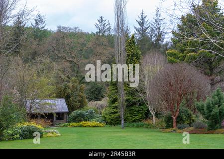 Winter Garden and shelter: RHS Rosemoor, Devon, UK Stock Photo