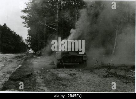Waffen SS Troops and Anti Tank Gun near Luga August 1941 on the Russian ...