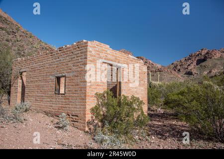 Historic Miller Ranch House, Alamo Canyon, Sonoran Desert, Organ Pipe Cactus National Monument, Ajo, Lukeville, Arizona, USA Stock Photo