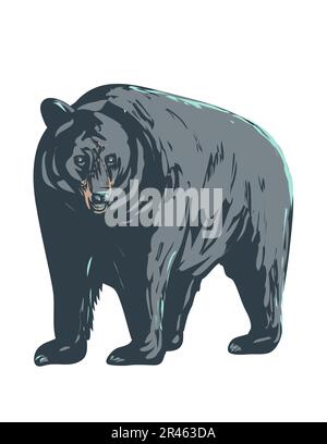 WPA poster art of an American black bear Ursus americanus or baribal endemic to North America viewed from front done in works project administration o Stock Photo