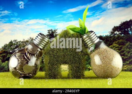Coins inside the light bulb, plant growing inside the light bulb and miniature house with grass. Green eco renewable energy concept. Electricity price Stock Photo