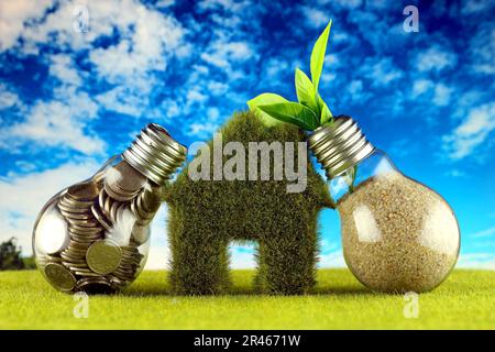 Coins inside the light bulb, plant growing inside the light bulb and miniature house with grass. Green eco renewable energy concept. Electricity price Stock Photo