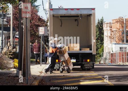 Two male movers unloading cardboard boxes from the back of a moving truck onto the pavement Stock Photo