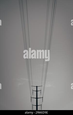 A low-angle monochrome shot of network of telephone and power lines, stretching across the skyline Stock Photo