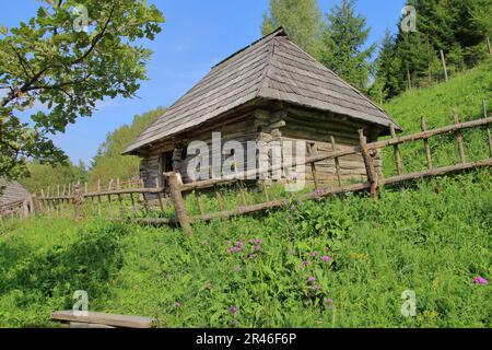 The picture was taken in Ukraine, in the village of Kolochava which is in Transcarpathia. On the фто there is an old rural house located on a green hi Stock Photo