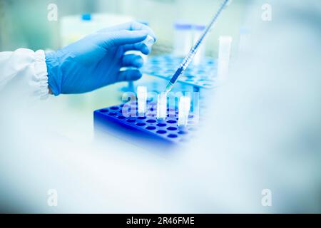 biology medicine and medical laboratory photo and cell culturing multi well plate and pipette safety cabinet Stock Photo