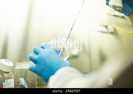 biology medicine and medical laboratory photo and cell culturing multi well plate and pipette safety cabinet Stock Photo