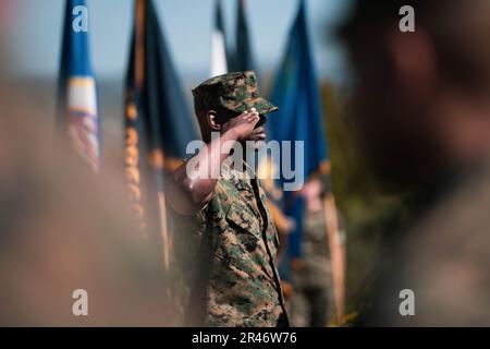 U.S. Marine Corps Sgt. Maj. Oranjel Leavy, the outgoing sergeant major of the 15th Marine Expeditionary Unit, salutes during the 15th MEU relief and appointment ceremony at Marine Corps Base Camp Pendleton, California, April 6, 2023. During the ceremony, Leavy relinquished his post to Sgt. Maj. John Schlaud, after serving as the 15th MEU sergeant major since June 2021. Stock Photo