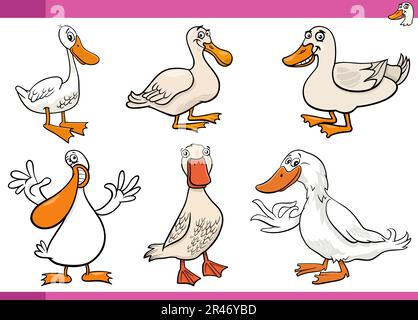 Cartoon illustration of ducks farm birds characters set Stock Vector