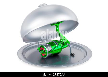 Red Spinning reel, side view. 3D rendering isolated on white background  Stock Photo - Alamy