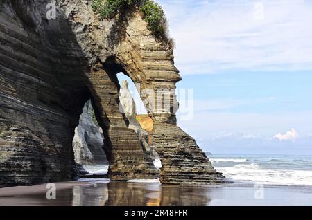 A scenic view of Tongaporutu elephant rock in New Zealand Stock Photo ...