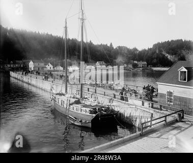 Pier at Murray Bay, St. Lawrence River, between 1890 and 1901. Stock Photo