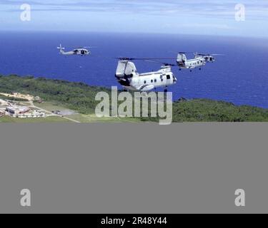 US Navy Two UH-46 ''Sea Knights'' and two UH-60 ''Black Hawks'' fly over Andersen as part of a six-helicopter formation during flight training Stock Photo