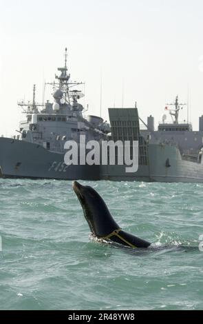 US Navy Shallow Water Intruder Detection System (SWIDS) program Stock Photo