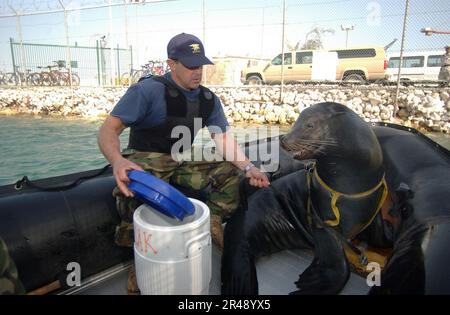 US Navy Shallow Water Intruder Detection System (SWIDS) program Stock Photo