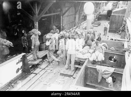 Unloading bananas, Mobile, Ala., c1906. Stock Photo